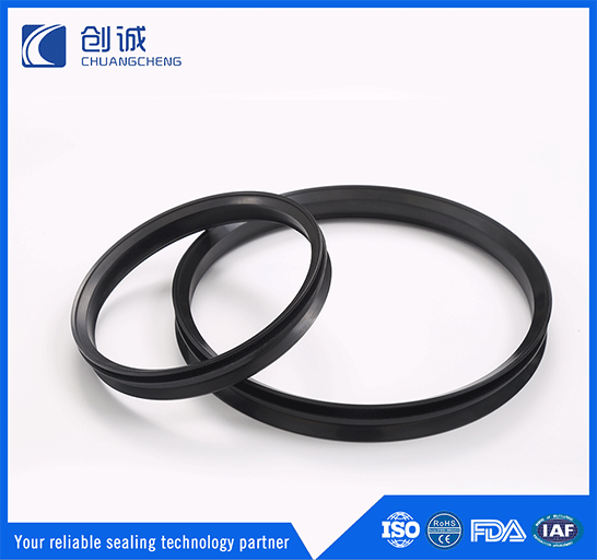 Danieli lip seal